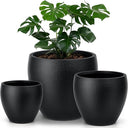 Large Plant Pots with Drainage – Indoor & Outdoor