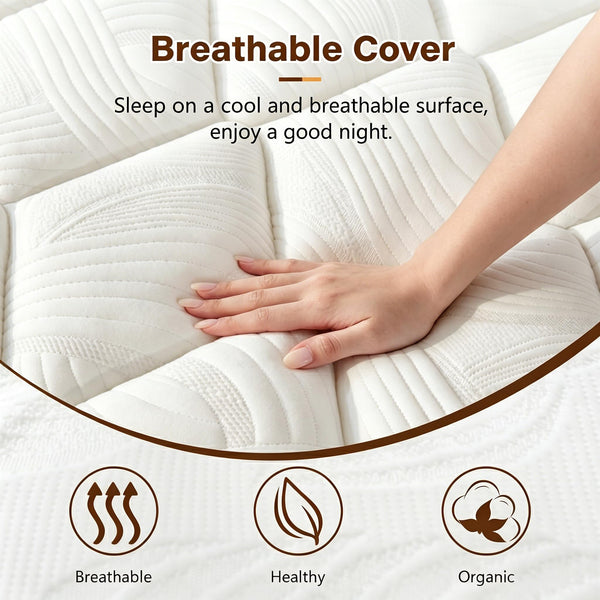 Queen 12-Inch Hybrid Mattress in a Box