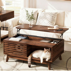 Lift Top Coffee Table with Storage & Sliding Door – Walnut Brown