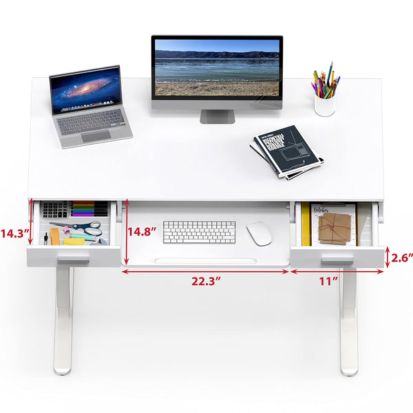 48-Inch Electric Height Adjustable Standing Desk with Keyboard Tray & 2 Drawers
