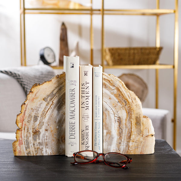 Petrified Wood Bookends Set