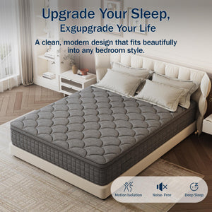 12-Inch Hybrid Memory Foam & Pocketed Coil Mattress