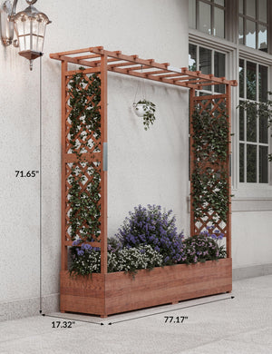 Raised Garden Bed with Trellis, Hanging Roof & Drainage Holes