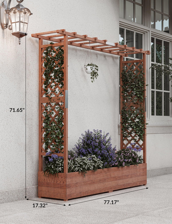 Raised Garden Bed with Trellis, Hanging Roof & Drainage Holes