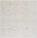 8x10 Transitional Area Rug – Machine-Woven, Non-Shedding, Stain Resistant