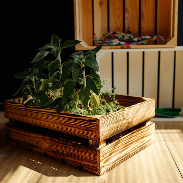 Large Wooden Flamed Storage Box with Lid