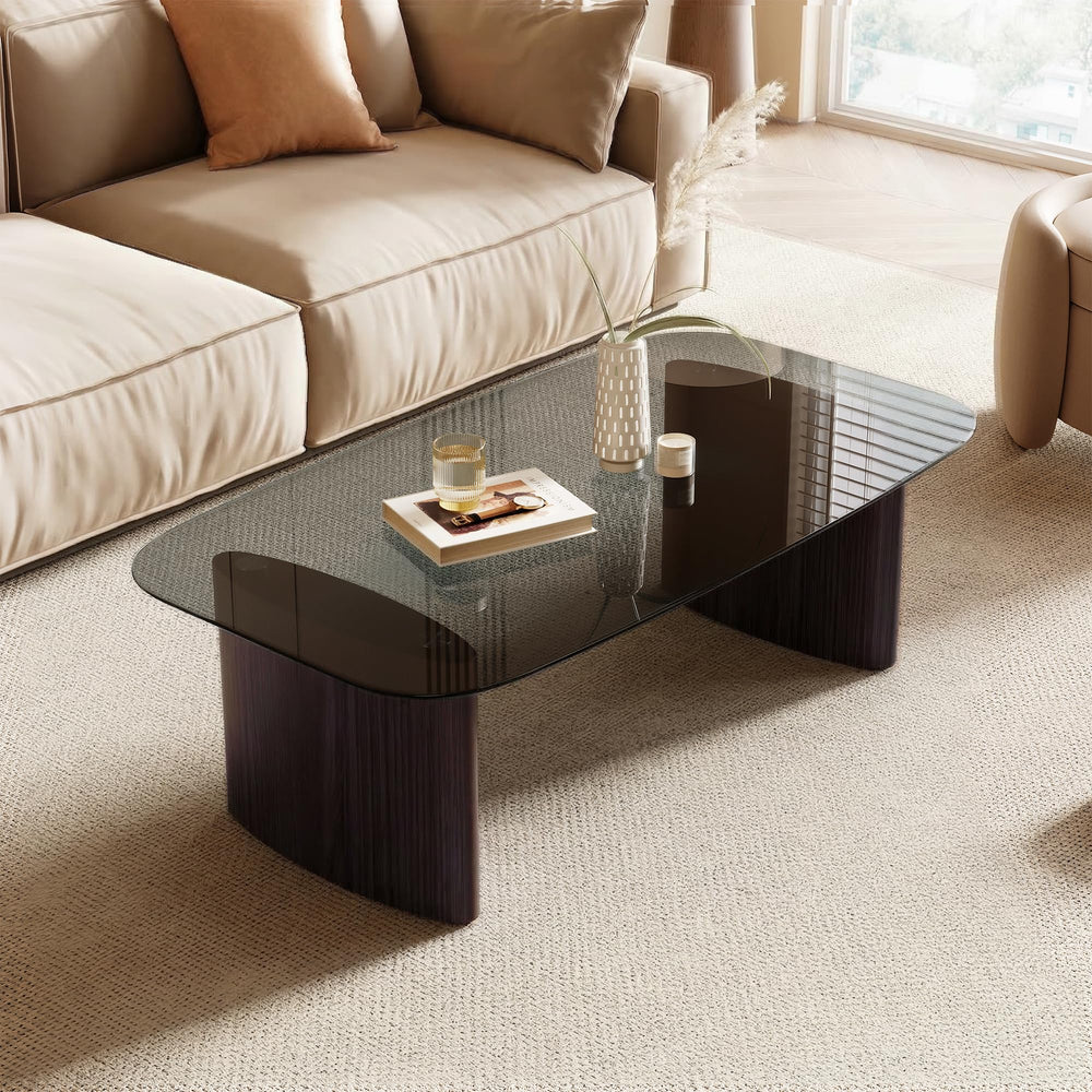 Modern Glass Coffee Table with Wooden Base