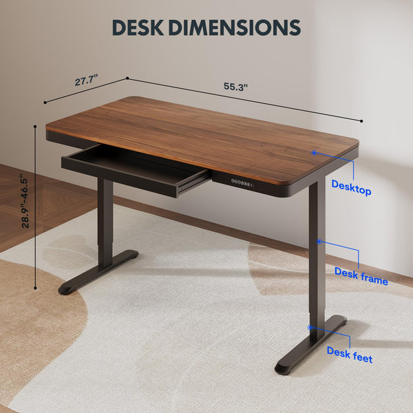 55-Inch Electric Standing Desk with Drawer & USB Charging
