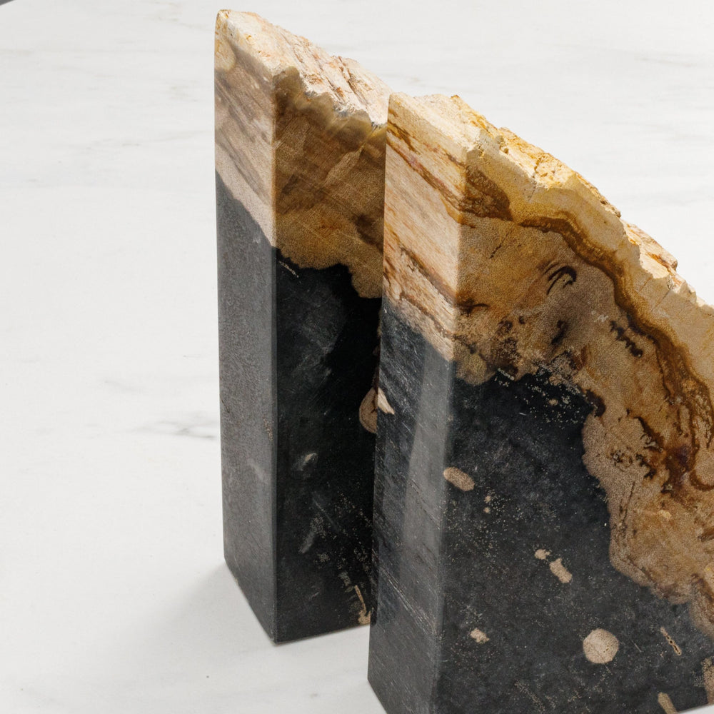 Petrified Wood Bookends Set