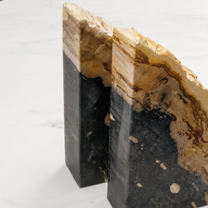 Petrified Wood Bookends Set