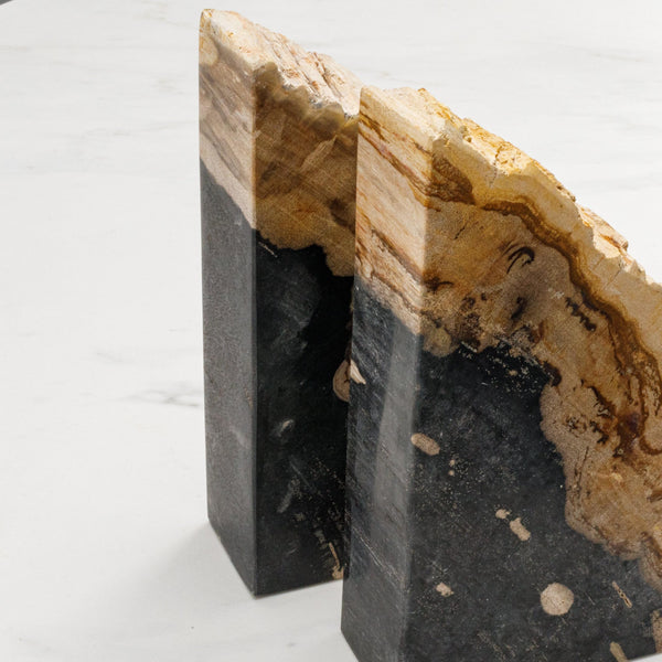 Petrified Wood Bookends Set