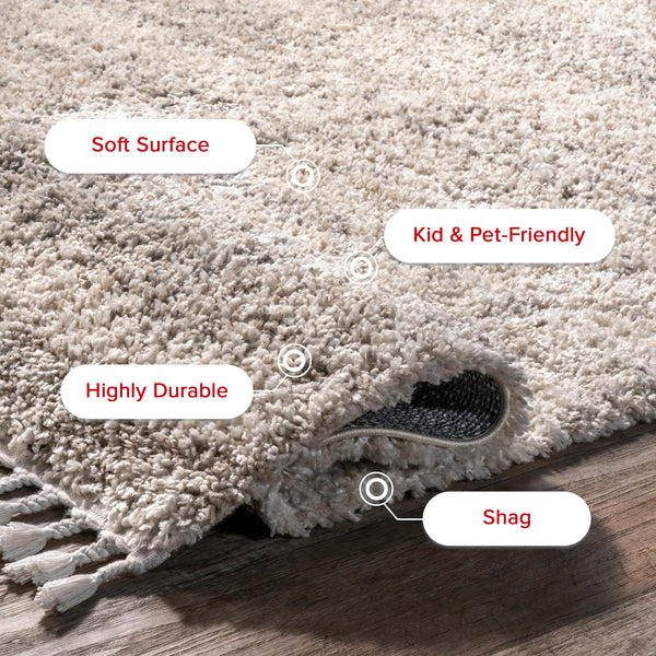 Ivory Shag Tasseled Area Rug 9x12