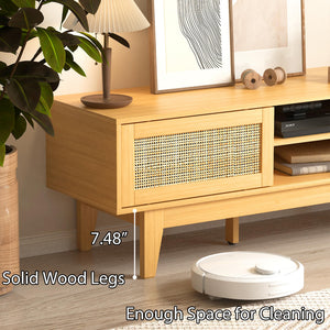 Rattan TV Stand with Sliding Doors & Open Shelves