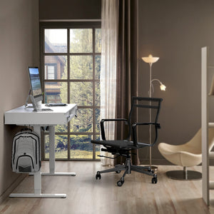 48-Inch Electric Height Adjustable Standing Desk with Keyboard Tray & 2 Drawers