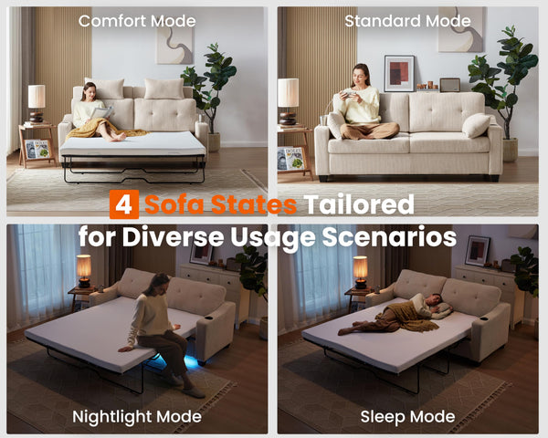 2-in-1 Pull Out Sleeper Sofa Bed with Memory Foam Mattress