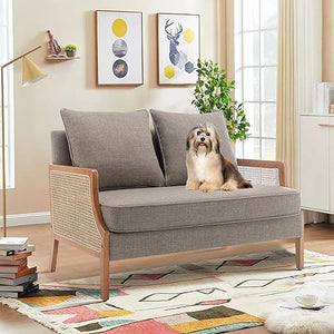 Mid-Century Modern Loveseat with Natural Rattan Arms