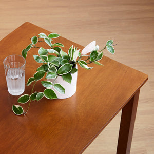 5-Piece Modern Farmhouse Solid Wood Dining Table Set for 4