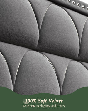 Velvet Wingback Platform Bed Frame with 56" Headboard