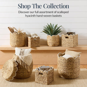 Water Hyacinth Nesting Storage Baskets Set of 3