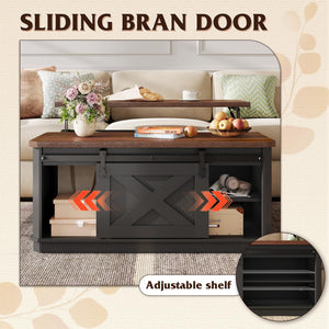 Lift Top Coffee Table with Storage