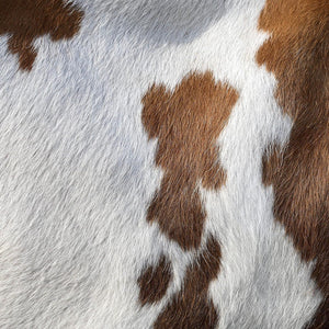 Brown & White Cowhide Area Rug