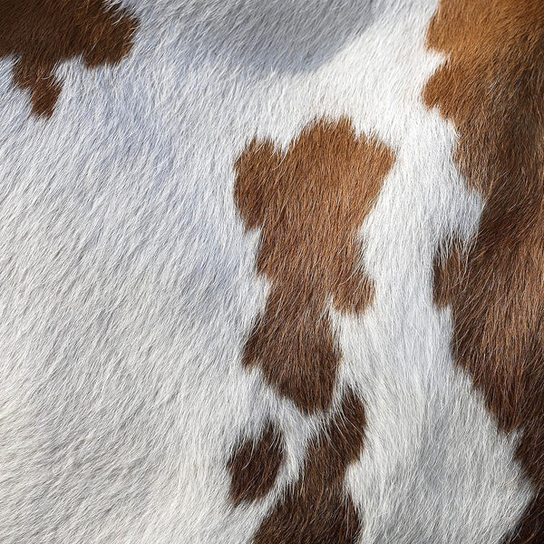 Brown & White Cowhide Area Rug