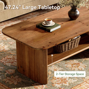 Solid Wood Coffee Table with 2-Tier Storage