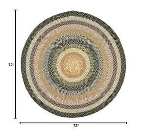 6ft Round Braided Indoor Outdoor Area Rug