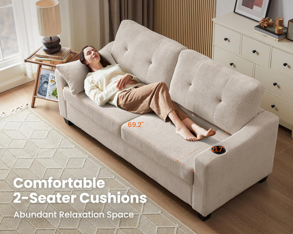 2-in-1 Pull Out Sleeper Sofa Bed with Memory Foam Mattress
