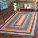 6ft Round Braided Indoor Outdoor Area Rug
