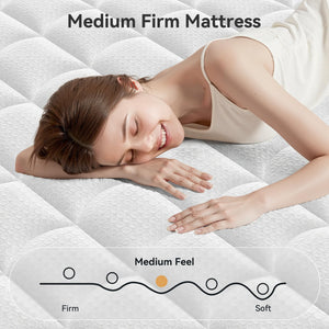Queen Mattress 12 Inch Hybrid Pillow Top with Memory Foam & Pocket Springs