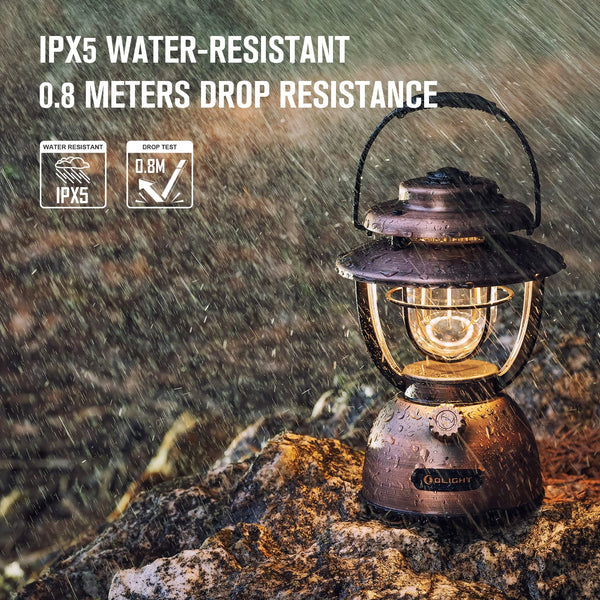 Rechargeable LED Camping Lantern with Dual Light Sources