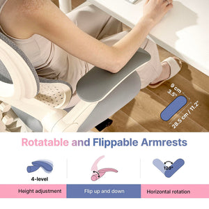 Ergonomic Office Chair with Lumbar Support & Footrest