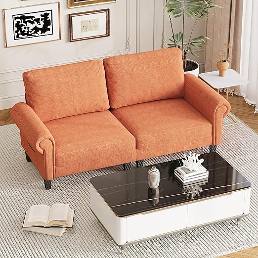 Modular Sectional Loveseat Sofa with Chaise
