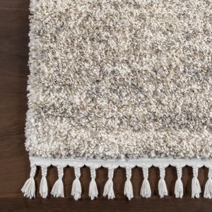 Ivory Shag Tasseled Area Rug 9x12