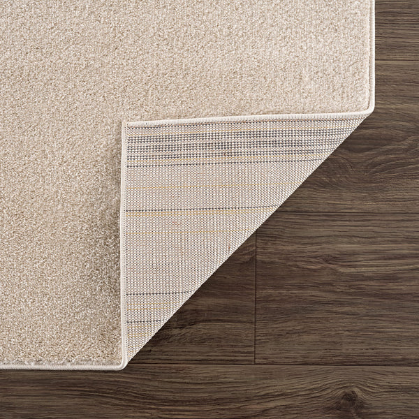 Mid-Century Contemporary Area Rug – Ivory, Beige & Blush Pink