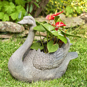 Swan Flower Planters Set of 2 — Magnesium, Indoor & Outdoor